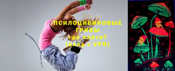 СК Инта