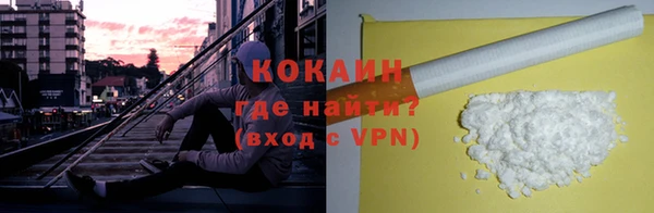 СК Инта