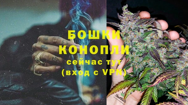 СК Инта