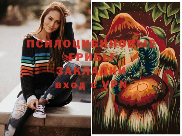 СК Инта