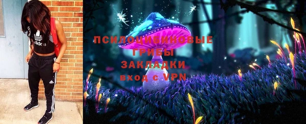 СК Инта