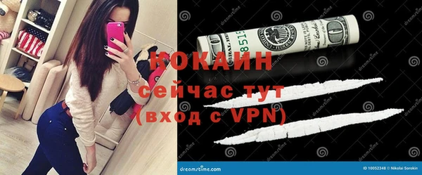 СК Инта